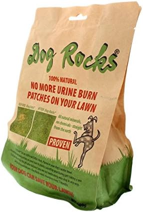 כלב סלעים-למנוע דשא לשרוף כתמים על ידי שתן-לחסוך שלך דשא צהוב סימנים-600 גרם